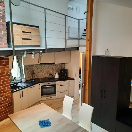 Exclusive Art Lejlighed Kraków