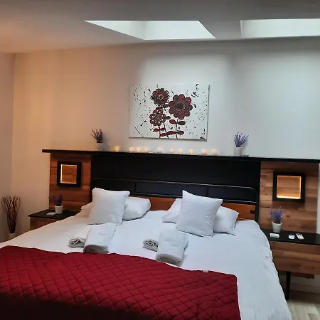 아파트 Exclusive Art 크라쿠프