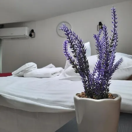 Exclusive Art * 크라쿠프